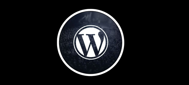 Wordpress geliştirici